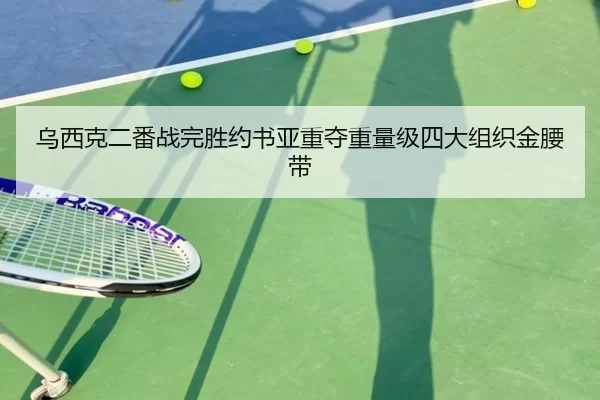 wu-xi-ke-er-fan-zhan-wan-sheng-yue-shu-ya-zhong-duo-zhong-liang-ji-si-da-zu-zhi-jin-yao-dai-2-639.jpg